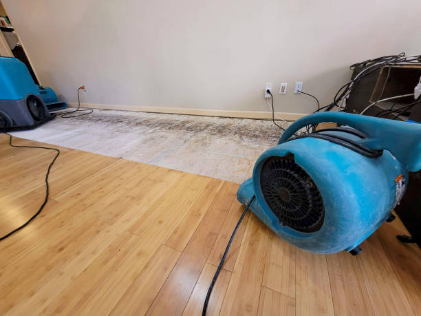 Professional Basement Flood Cleanup technician working in Martinez, CA